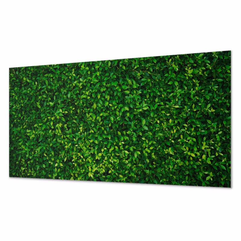 Komplet Kafelków PCV ArtPrintCave 40×20 cm Gęsta ściana liści 10 szt.