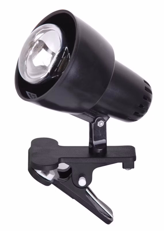 Lampa biurkowa Rabalux Clip czarna z klipsem 1 x E14 x 40W IP20 wym: 10.5 x 9 x 9 cm tworzywo sztuczne – 1 szt.